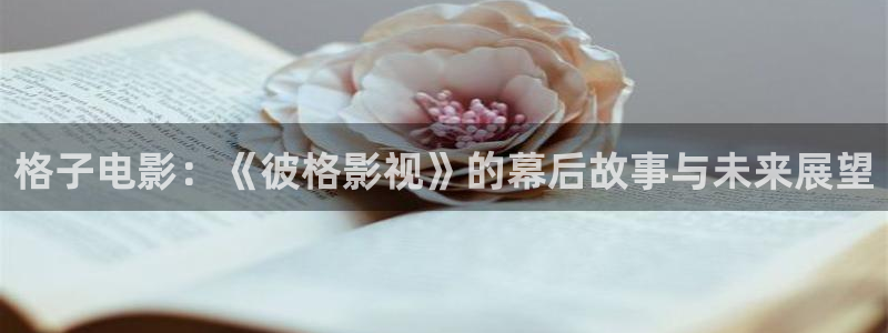 丝瓜视频在线观：格子电影：《彼格影视》的幕后故事与未来展望