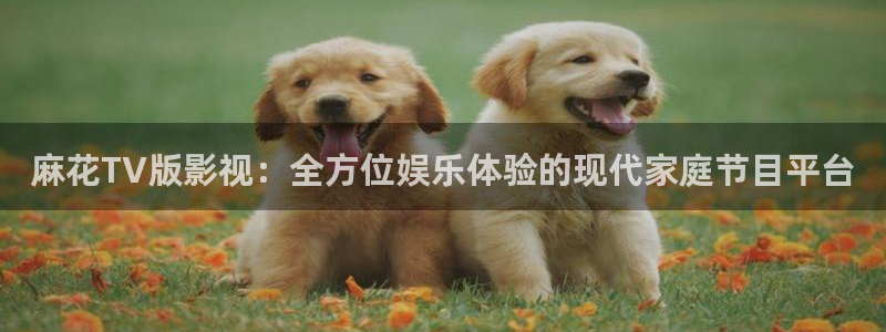 丝瓜视频网站免费：麻花TV版影视：全方位娱乐体验的现代家庭节目平台