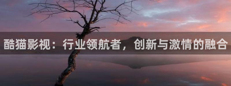 丝瓜炒鸡蛋的视频教程：酷猫影视：行业领航者，创新与激情的融合