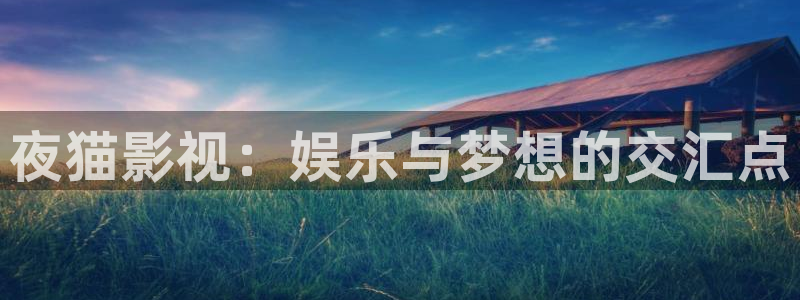 丝瓜视频下载免费观看：夜猫影视：娱乐与梦想的交汇点