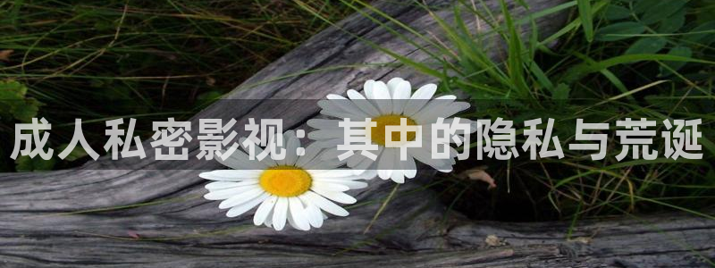 老版本丝瓜视频：成人私密影视：其中的隐私与荒诞
