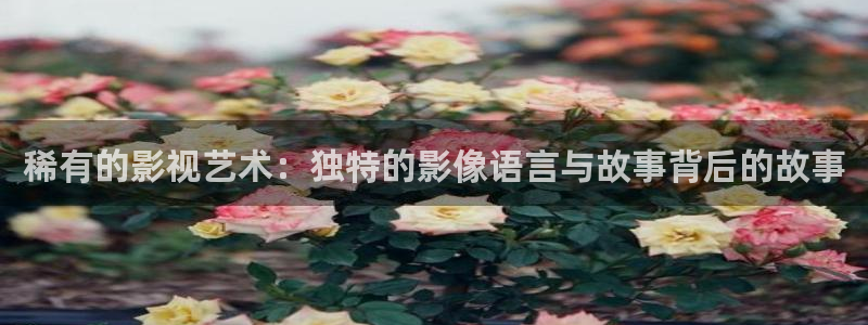 视频丝瓜视频：稀有的影视艺术：独特的影像语言与故事背后的故事