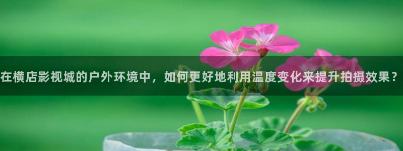 丝瓜视频d：在横店影视城的户外环境中，如何更好地利用温度变化来提升拍摄效果？